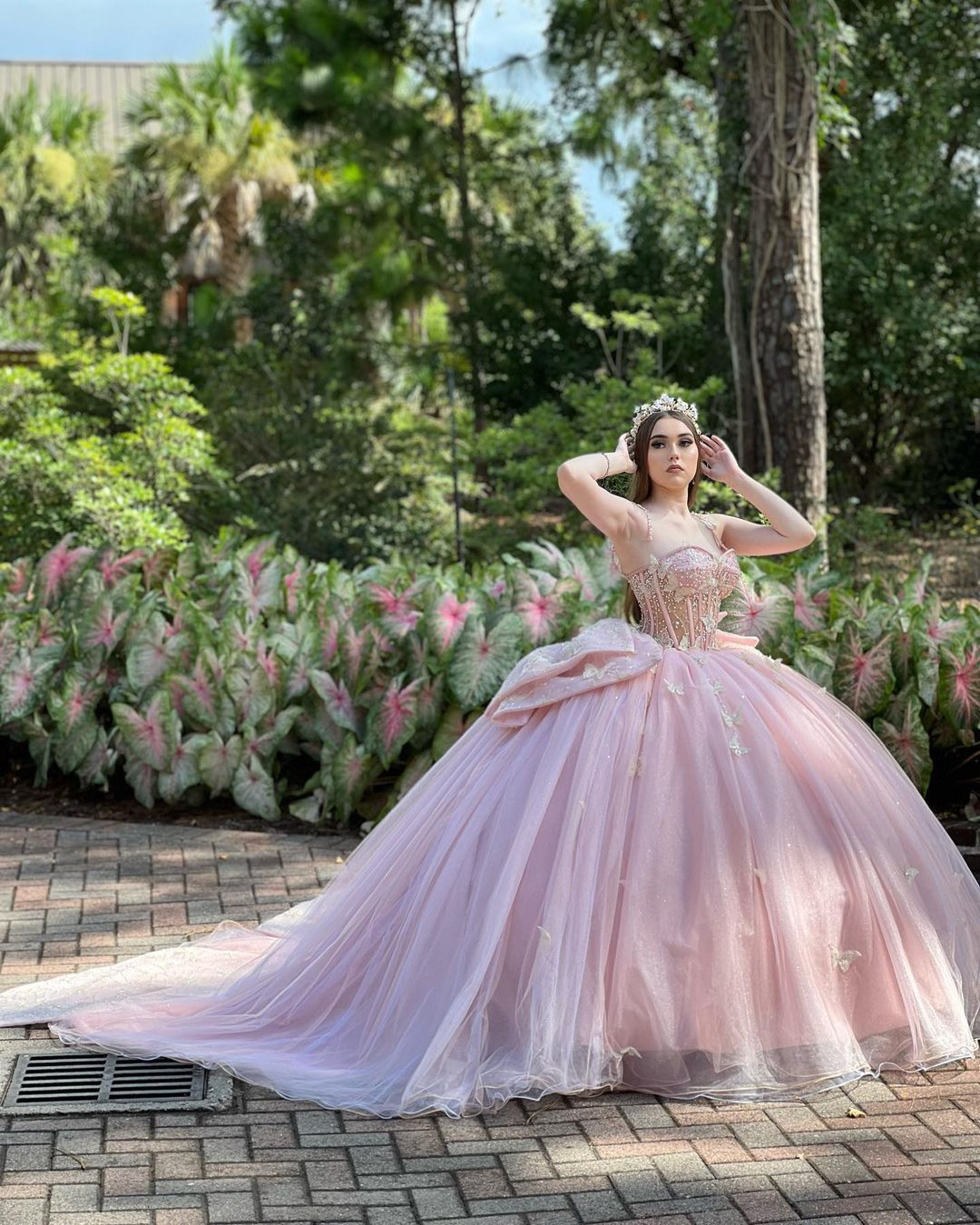 Glamorous Pink Sweet 16 Dress,Pink Ball Gown With Butterflies,Pink Tulle Princess Dress Y2336