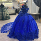 Royal Blue Sweet 16 Princess Ball Gown Quinceanera Dresses with Train for Girls Prom Party Evening Long,Y2479