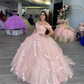 Off The Shoulder Pink Tulle Lace Ball Gown,Sweet 16 Dress  Y2267