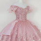Princess Pink Lace Applique Short Homecoming Dress ,Y2502