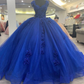 Royal Blue Appliques Tulle Ball Gown,Sweet 16 Dress,Princess Dress,Y2478