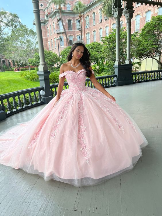 Off-the-shoulder Neckline with 3D Lace and Embroidery Lace Appliques Ball Gown Y2611
