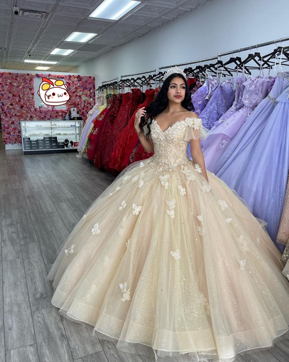 Off The Shoulder Butterfly Quinceanera Dress,Sweet 16 Dress,Glitter Ball Gown,Y2410