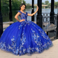 Royal Blue Ball Gown Quinceanera Dresses 3D Flower Sweetheart Sweet 15 16 Prom Party Gowns Y2821