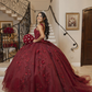 Burgundy Ball Gown With Flowers,Sweet 16 Dress, Burgundy Quinceanera Dress  Y2345