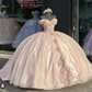Shiny Pink Quinceanera Dress Ball Gown Applique Party Gowns Sweet 16 Dress  Y2567