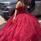 Red Ball Gown Quinceanera Dresses 3D Flowers 16 Birthday Princess Dress Y6469