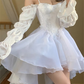 French White Tea Break Dress, Tulle Prom Dress Fairy Dress For Women, Victorian Dress, Graduation Dress, Beach Dress  Y1938