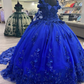 Royal Blue Sweet 16 Princess Ball Gown Quinceanera Dresses with Train for Girls Prom Party Evening Long,Y2479