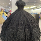 Black Quinceañera Dress,Black Ball Gown,Sweet 16 Dress Y1447