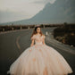 Chic Off The Shoulder Tulle Appliques Ball Gown Princess Dress Sweet 16 Dress Y399