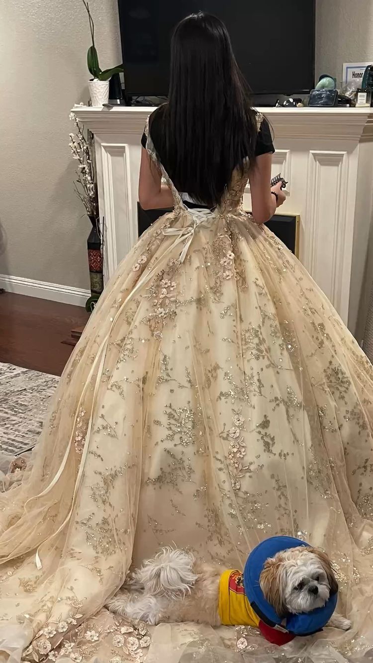 Luxurious Champagne V Neck Quinceanera Dress Princess Dress Champagne Ball Gown Y593